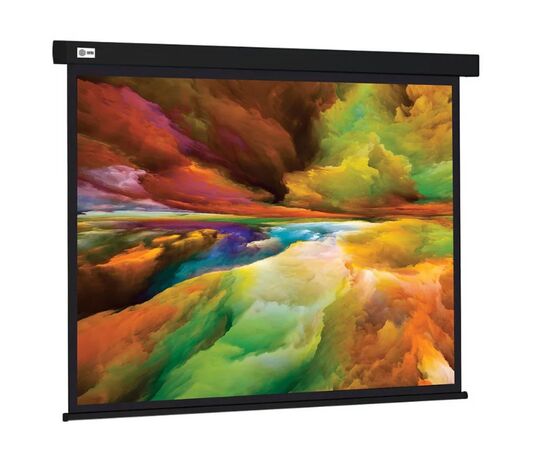  Экран Cactus CS-PSW-206X274-BK Wallscreen 4:3 настенно-потолочный рулонный черный 