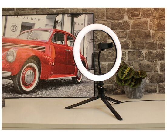  Кольцевой осветитель GAUSS RL002 Ring Light 14W 700lm, 26см 
