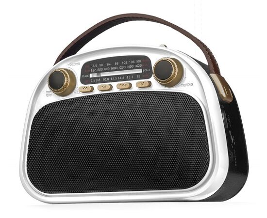  Радиоприемник RITMIX RPR-040 White 